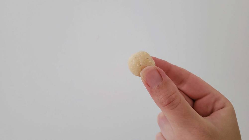 Macadamia-Nüsse getestet: Eine Hand hält eine Nuss vor eine helle Wand