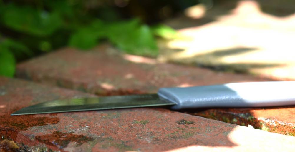 Gemüsemesser liegend.
