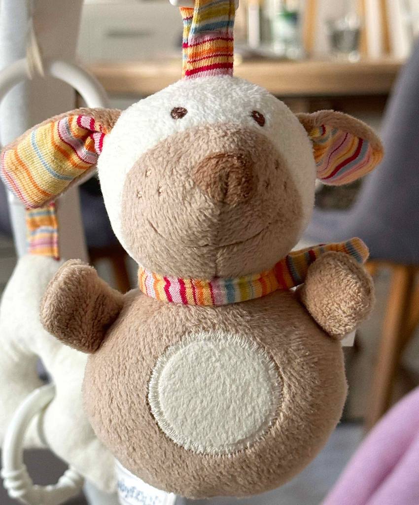 Spielbogen-Test: Ein Kuscheltier auf einem Spielbogen hängend in Nahaufnahme.