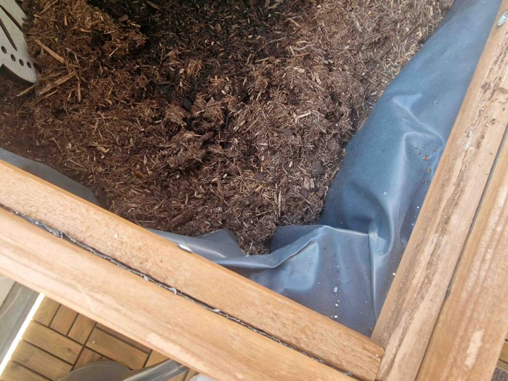 Hochbeet-Balkon getestet: Umrandung von Hochbeet im Fokus.