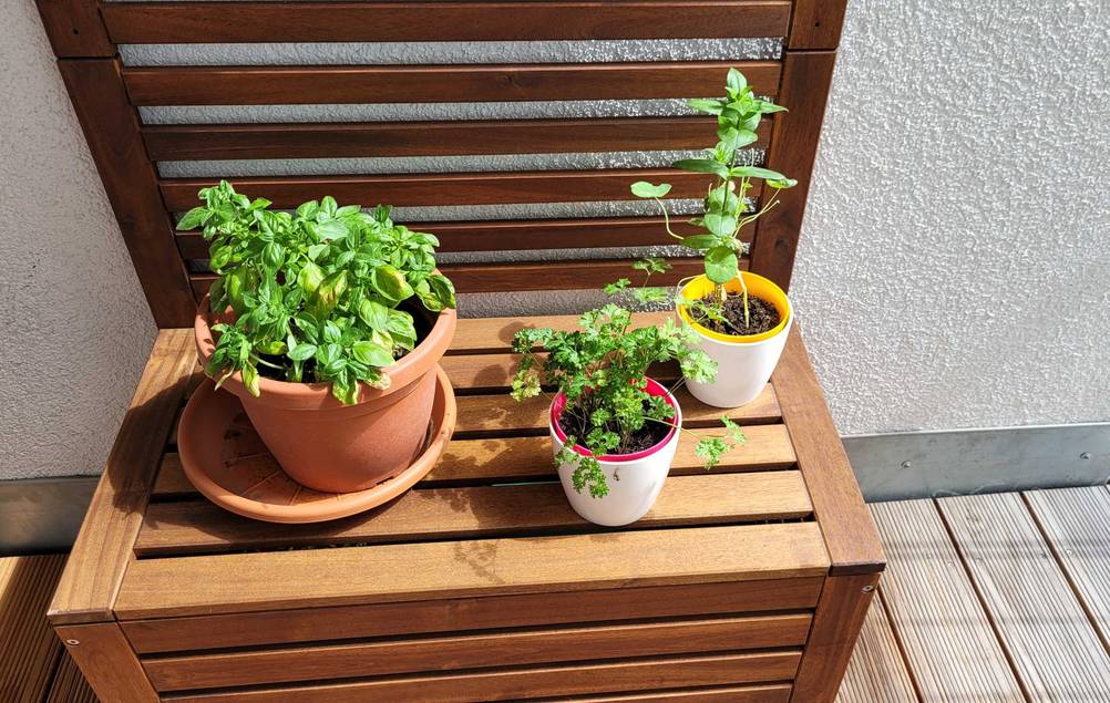 Nahaufnahme der getesteten Gartenbank mit Stauraum mit geschlossenem Deckel und Pflanzen darauf.