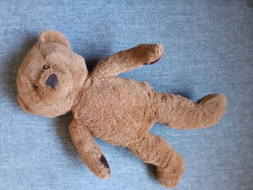 Teddy liegend.