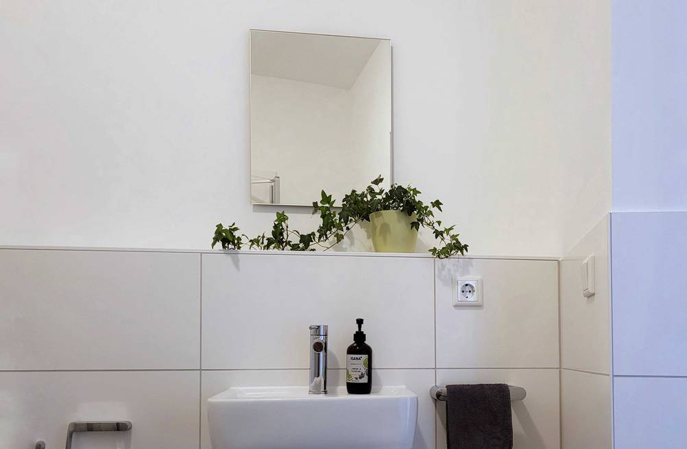 Im Test: Ein Badspiegel über einem Waschbecken mit Pflanzen.