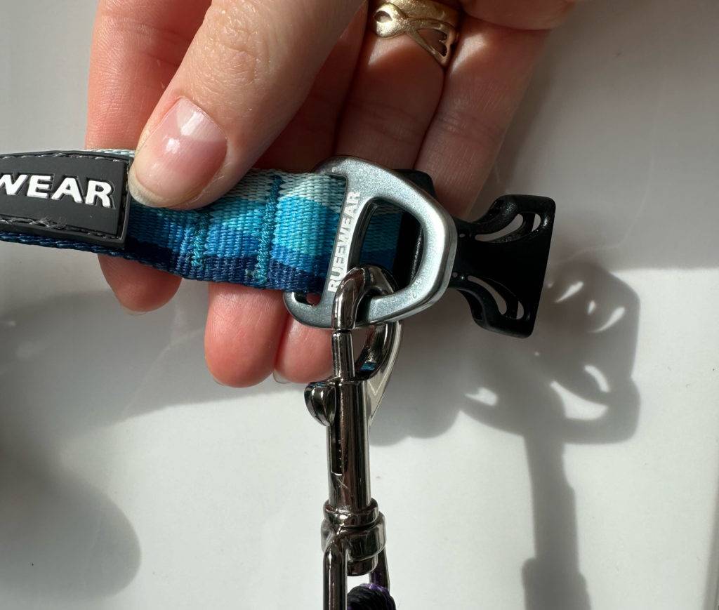 Der Karabinerhaken hängt an einer getesteten Welpenleine, welche in der Hand gehalten wird.
