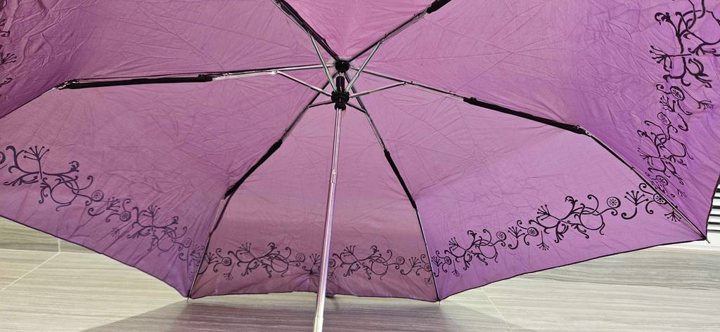 Taschenschirm getestet: Detailaufnahme des Gestänges eines geöffneten Taschenschirmes.