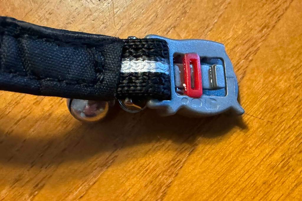 Nahaufnahme des Halsbandes des getesteten Gps für Katzen.