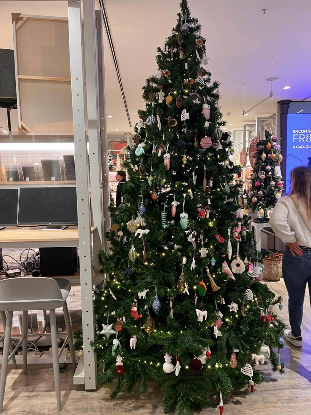 Weihnachtsbaum getestet: ein Weihnachtsbaum im geschmückten Zustand stehend in einem Geschäft.
