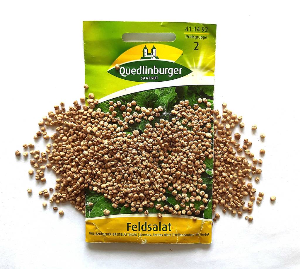Die getesteten Feldsalat-Samen liegen auf der Verpackung.
