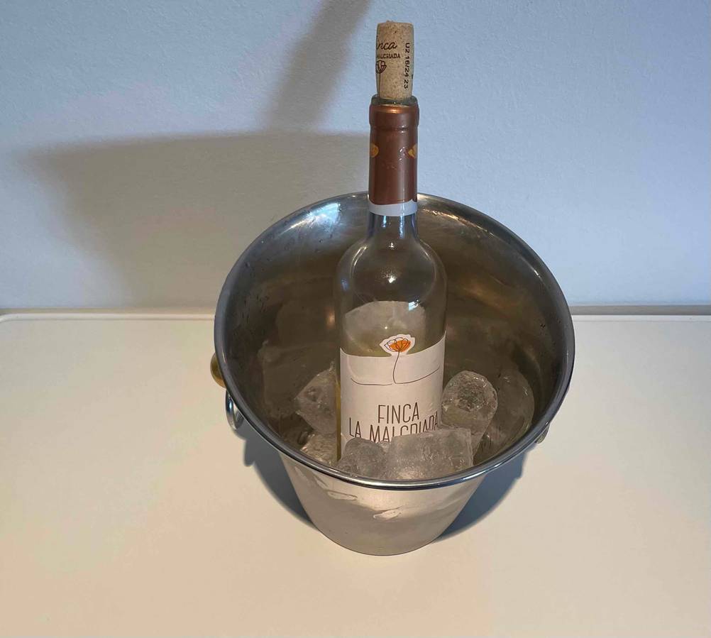 Im getesteten Eiskuebel befindet sich Eis und eine Flasche Wein