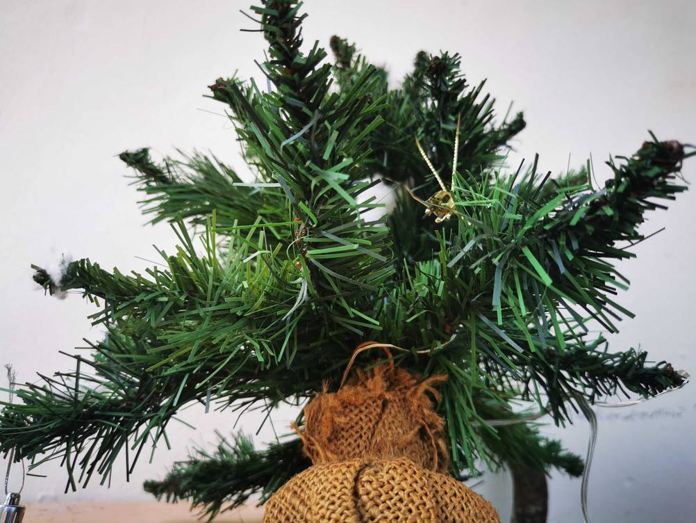Die Tannen des getesteten Mini-Weihnachtsbaum im Fokus.