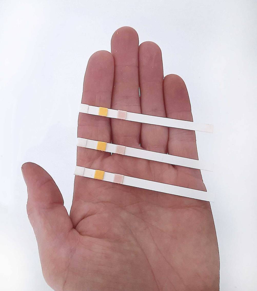 Drei getestete Pooltester werden in der Hand gehalten.