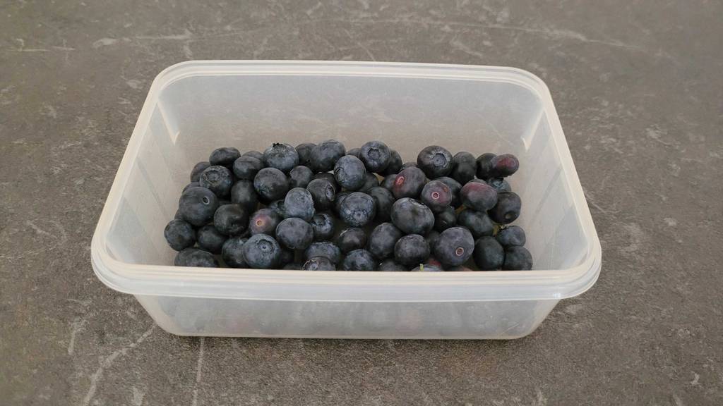 Geöffnete Frischhaltedose mit Heidelbeeren darin. 