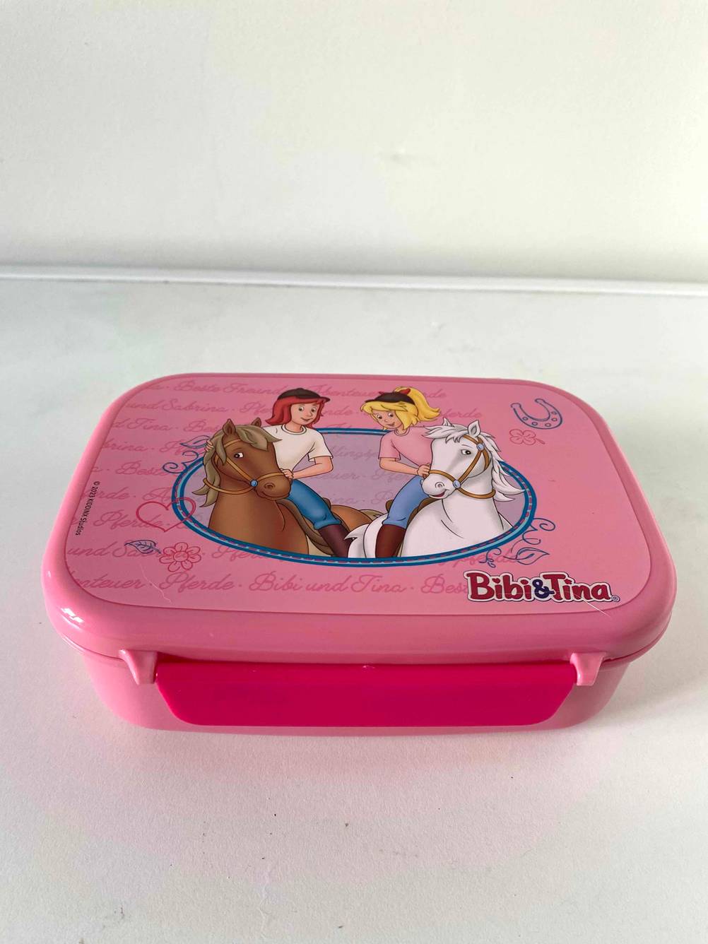 Lunchbox geschlossen mit Motiv zu sehen.