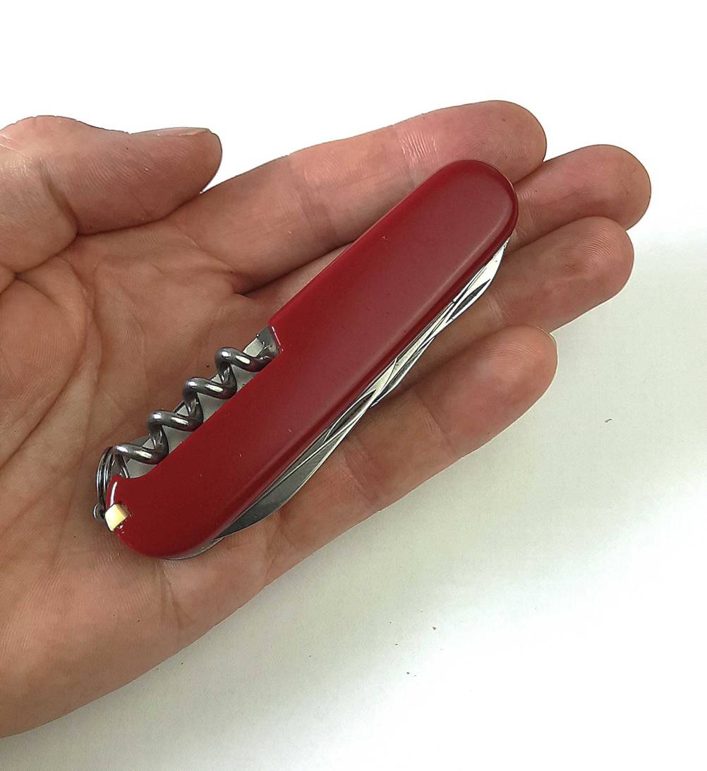Das getestete Victorinox-Taschenmesser, das zusammengeklappt ist, liegt in einer Hand.