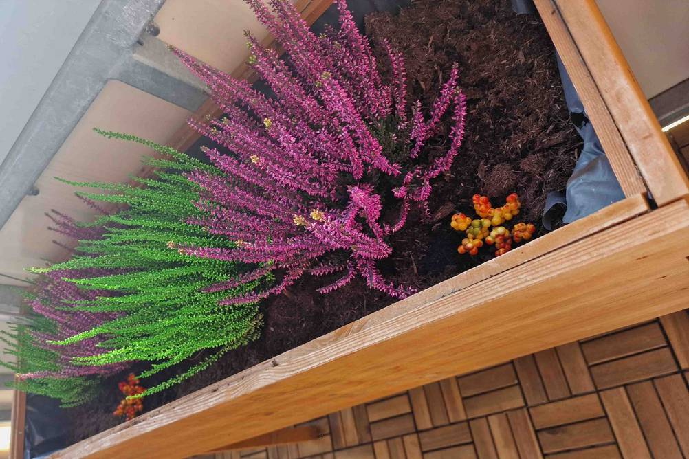 Im Test: Ein bepflanztes Hochbeet (Balkon) von schräg oben.