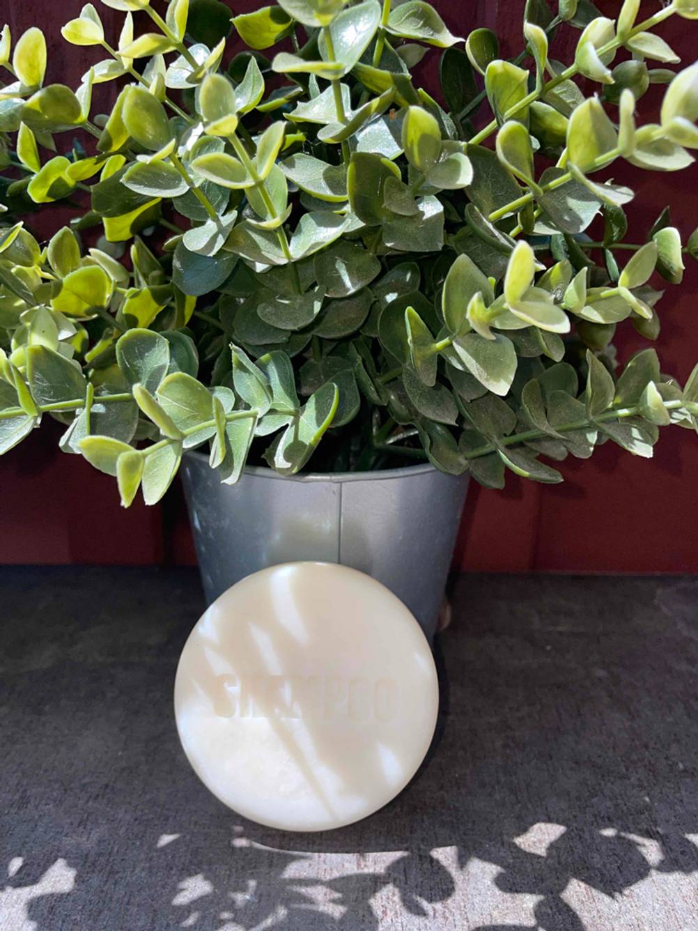 Festes Haarshampoo vor einer Pflanze.