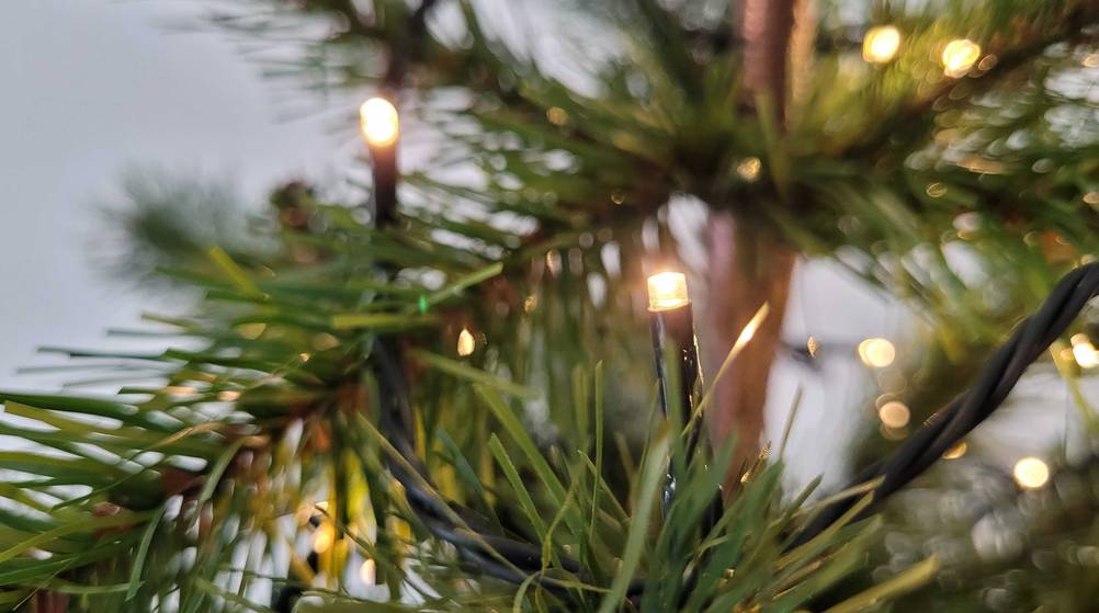 LED-Weihnachtsbeleuchtung getestet: Detailaufnahme einer LED in einem Tannenbaum.