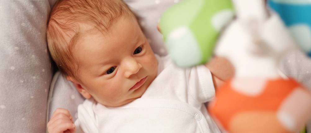 elektrische Babyschaukel Test