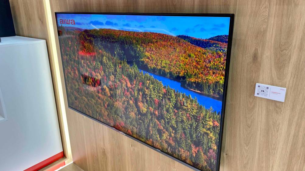 Ein 55-Zoll-Fernseher hängt an einer Holzwand.