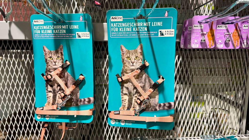 Zwei Katzengeschirre Kitten im Test hängen in türkisfarbenen Verpackungen an einem Verkaufsstand.
