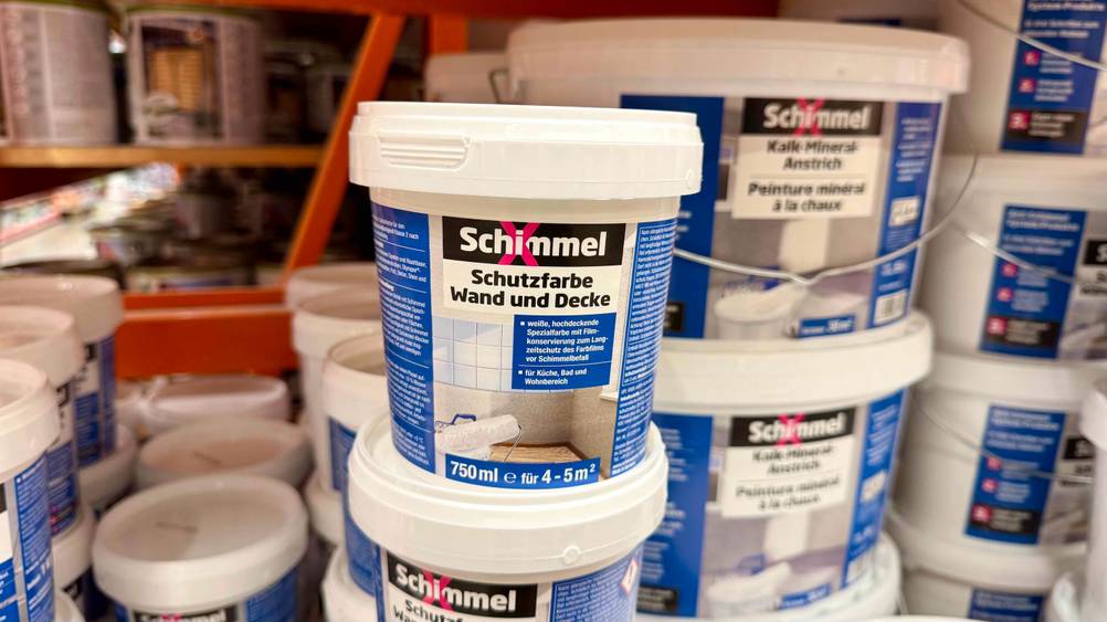 Mehrere Anti-Schimmel-Farben stehen in einem Regal.