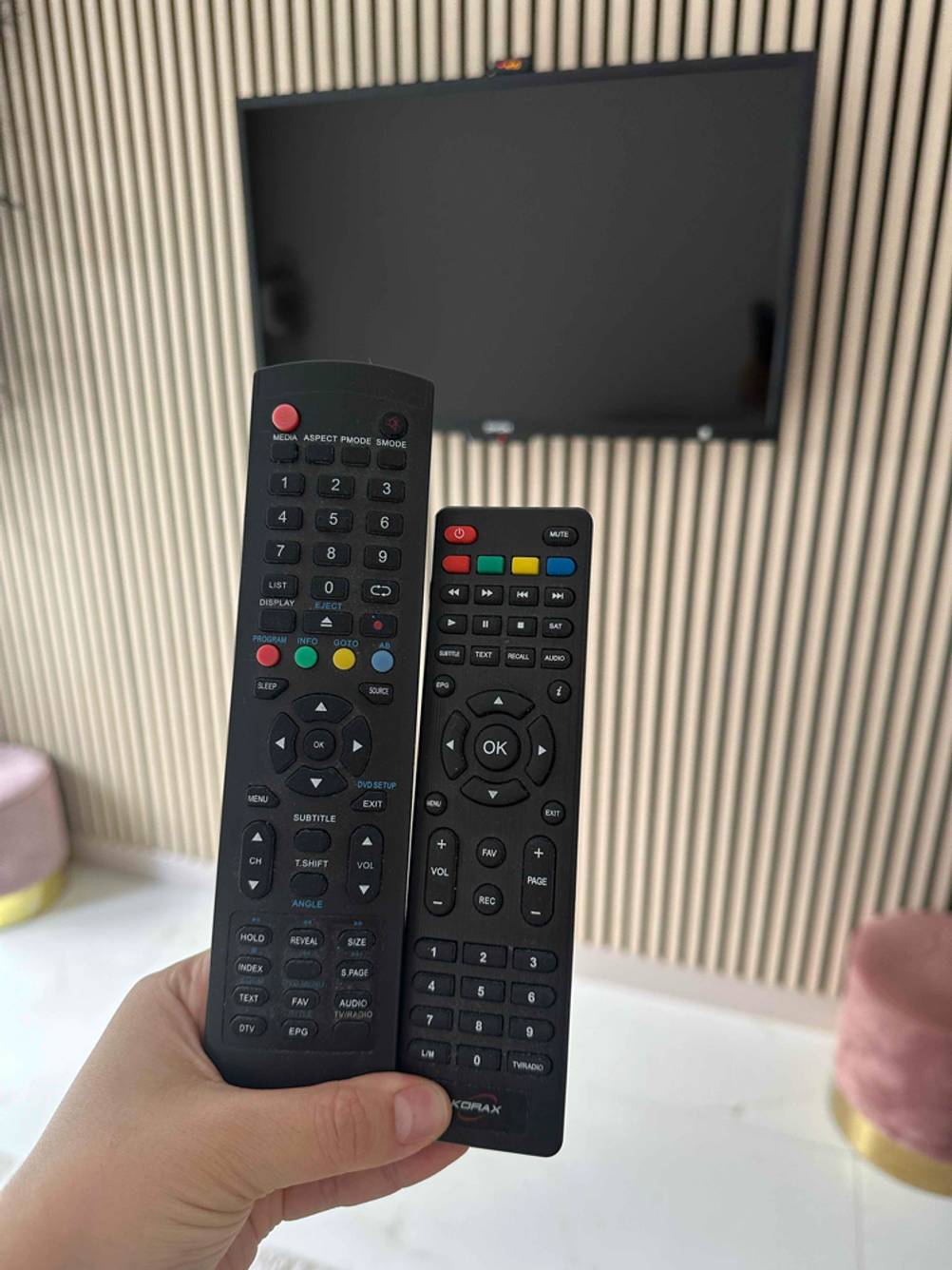 Zwei Fernbedienungen eines getesteten Dyon-Fernsehers.