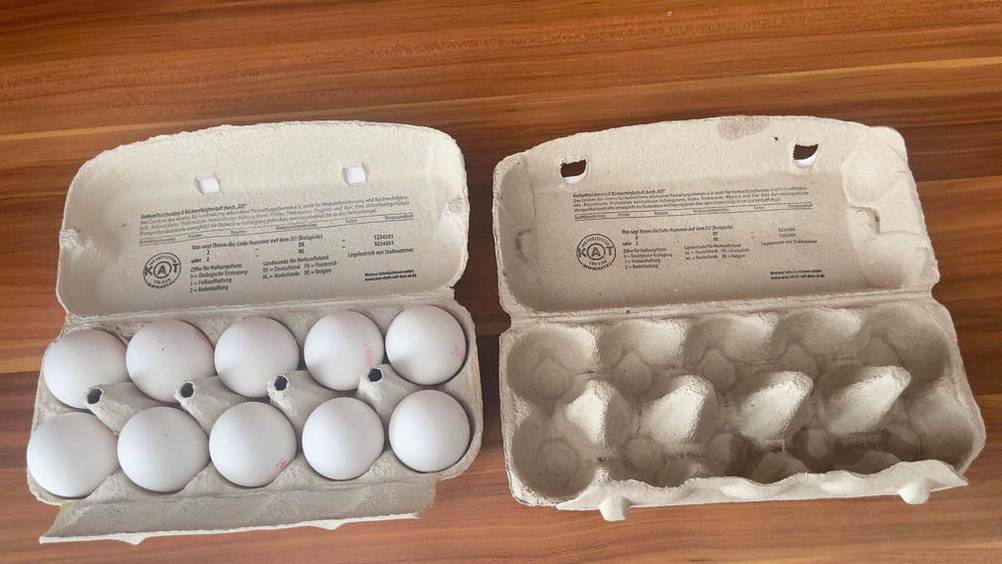 Zwei getestete Eierkartons, während einer befüllt und einer unbefüllt ist.