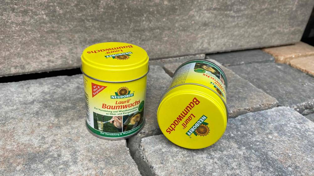 Baumwachs getestet: Zwei Dosen auf einem Steinboden, eine stehend, eine liegend