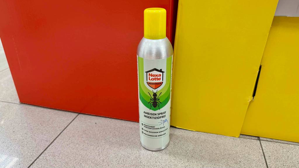 Im Test: Ameisengift in der Spraydose steht auf dem Boden.