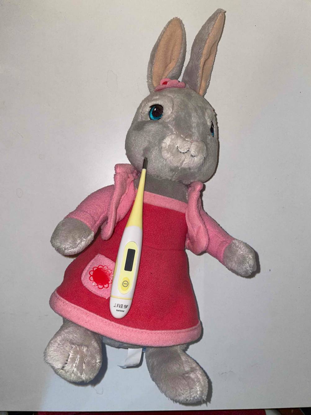 Fieberthermometer liegt auf Kuscheltier.