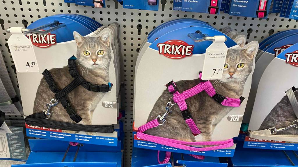 Katzengeschirr im Test: Katzengeschirre in grau, rosa und schwarz hängen in einem Regal mit Preischild.