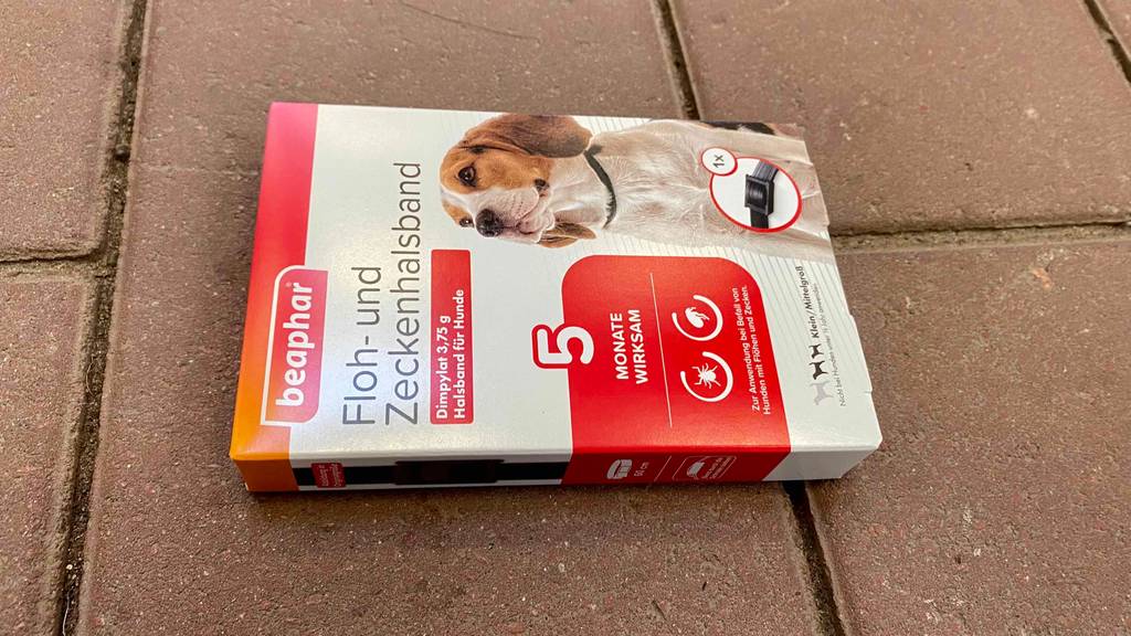 Zeckenhalsband für Hunde getestet: Eine Packung liegt auf einem Steinboden