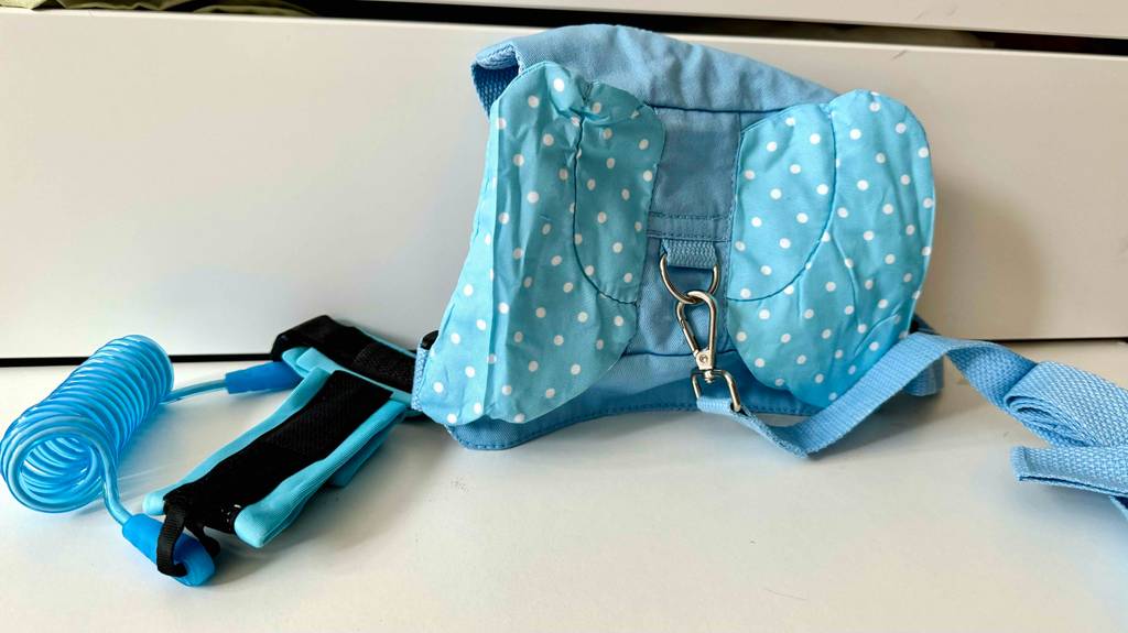 Test: das blau gepunktete Geschirr, mit angeschlossener Leine.