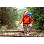 3-in-1-Jacke-Herren-Test: Ein Wanderer mit einem Hut, einem Wanderstock und weiterer Ausrüstung um Wald. 
