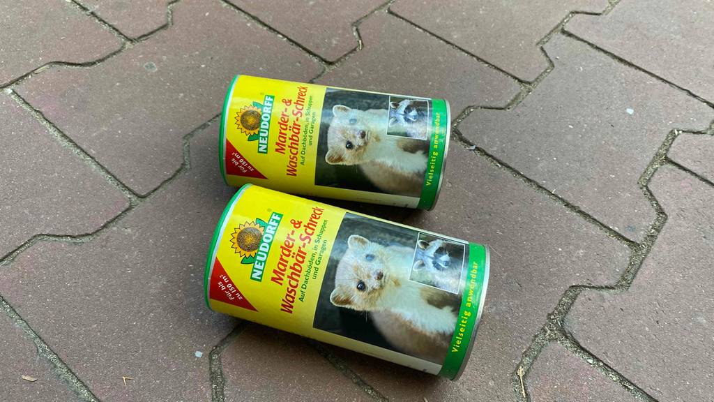 Marderschreck getestet: Zwei Dosen nebeneinander auf dem Boden