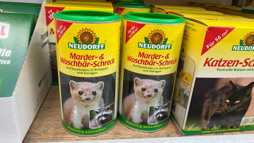 Mehrere Dosen des getesteten Marderschrecks nebeneinander im Regal