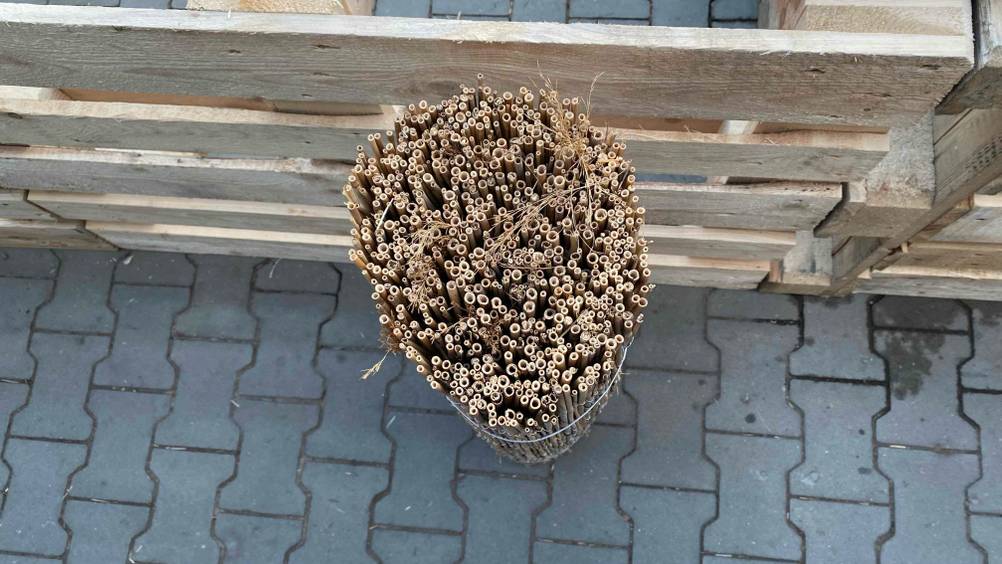 Schilfrohrmatte im Test: eingerollte Schilfrohrmatte von oben ersichtlich.