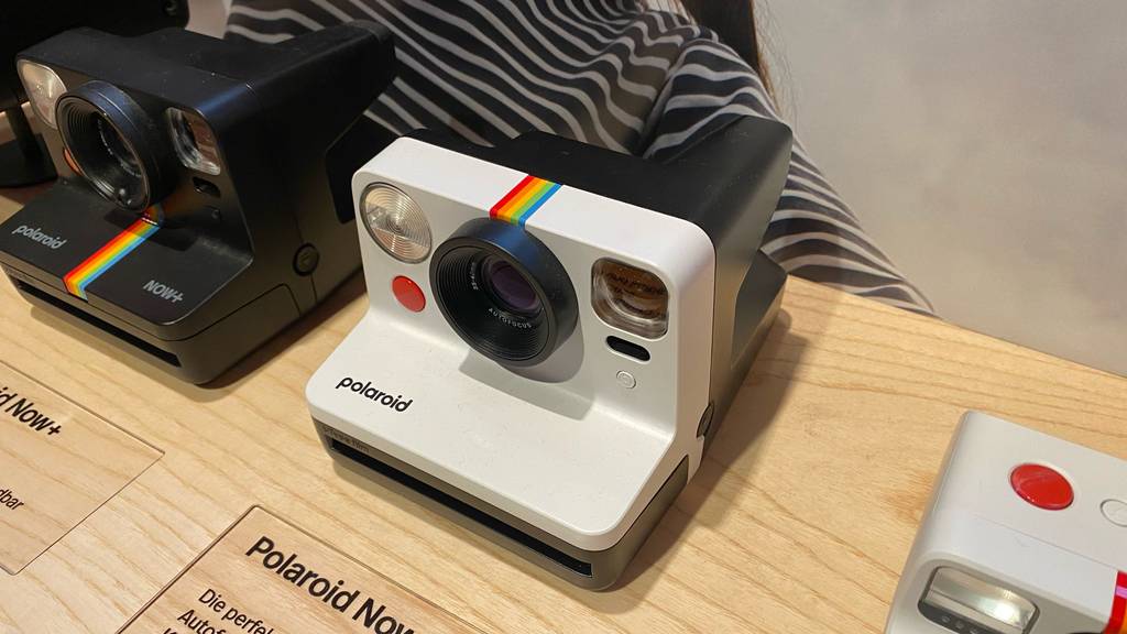 Polaroid-Kamera getestet: Eine Kamera neben anderen auf einer Holzfläche.