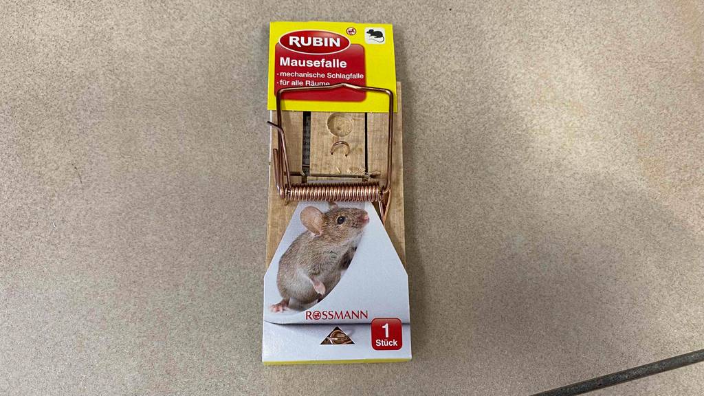 Mausefalle getestet: Mausefalle von Rubin noch in Originalverpackung liegend auf einem Boden.