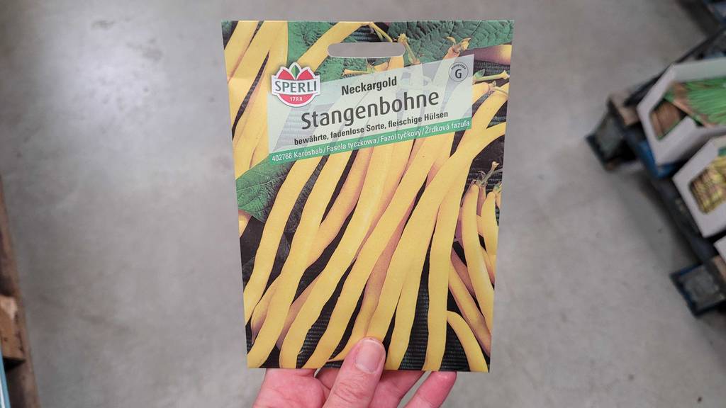 Eine Packung der getesteten Stangenbohnen-Samen wird mit der Vorderseite ersichtlich in der Hand gehalten.