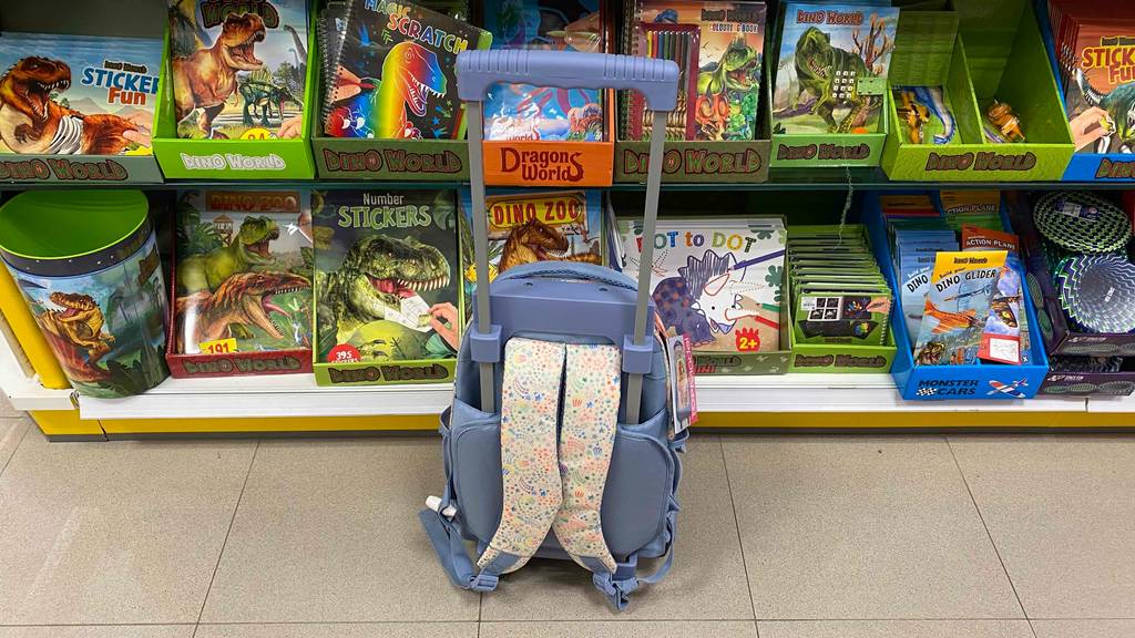 Im Test: Rückseite eines Schultrolley vor einem Verkaufsregal stehend.