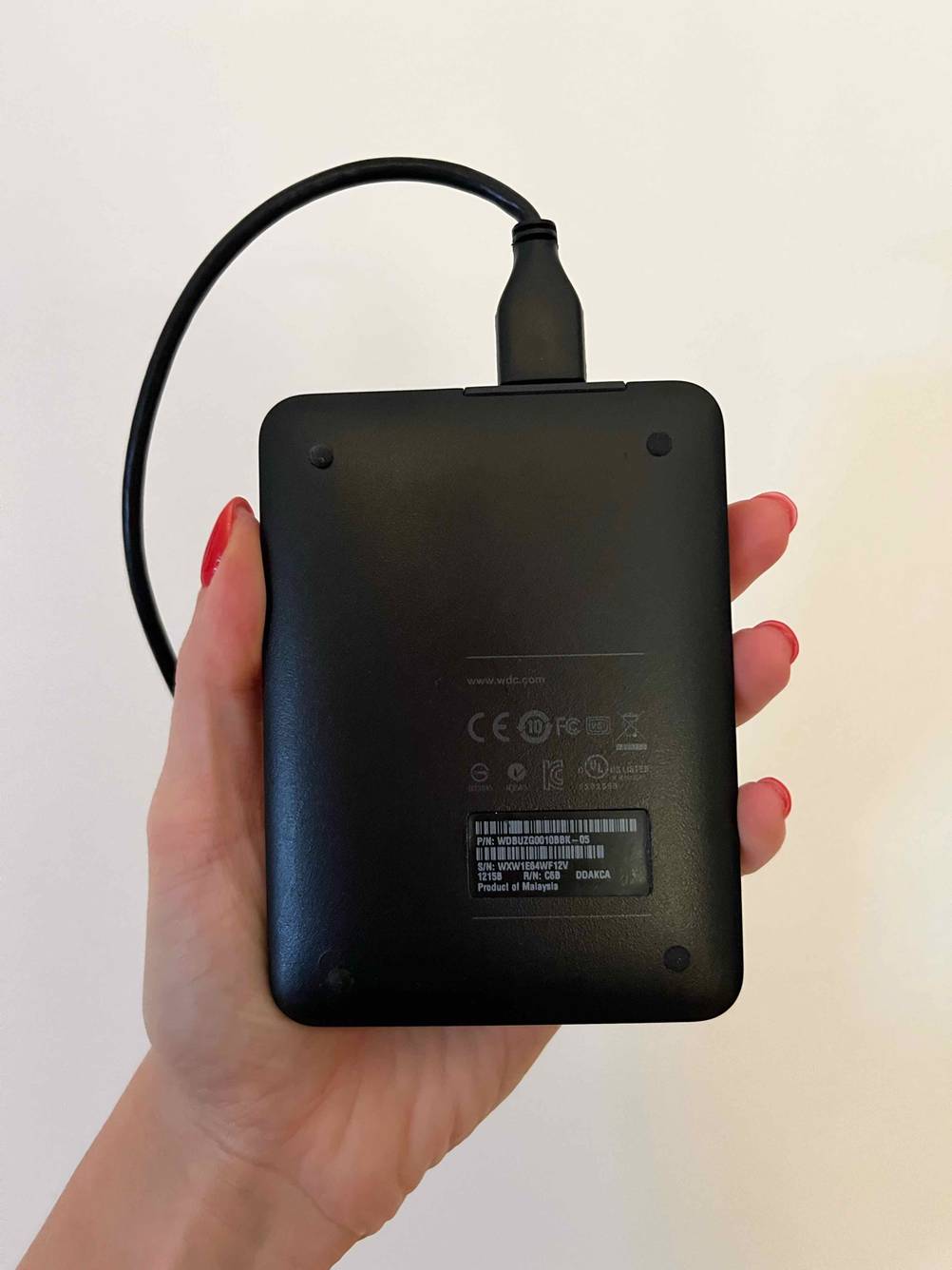 Externe-Festplatte-1tb im Test: Eine Hand hält eine Festplatte mit der Rückseite nach vorne vor einen hellen Hintergrund