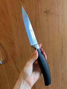 Eine Hand hält eine getestetes Kochmesser vor eine Holzfläche.