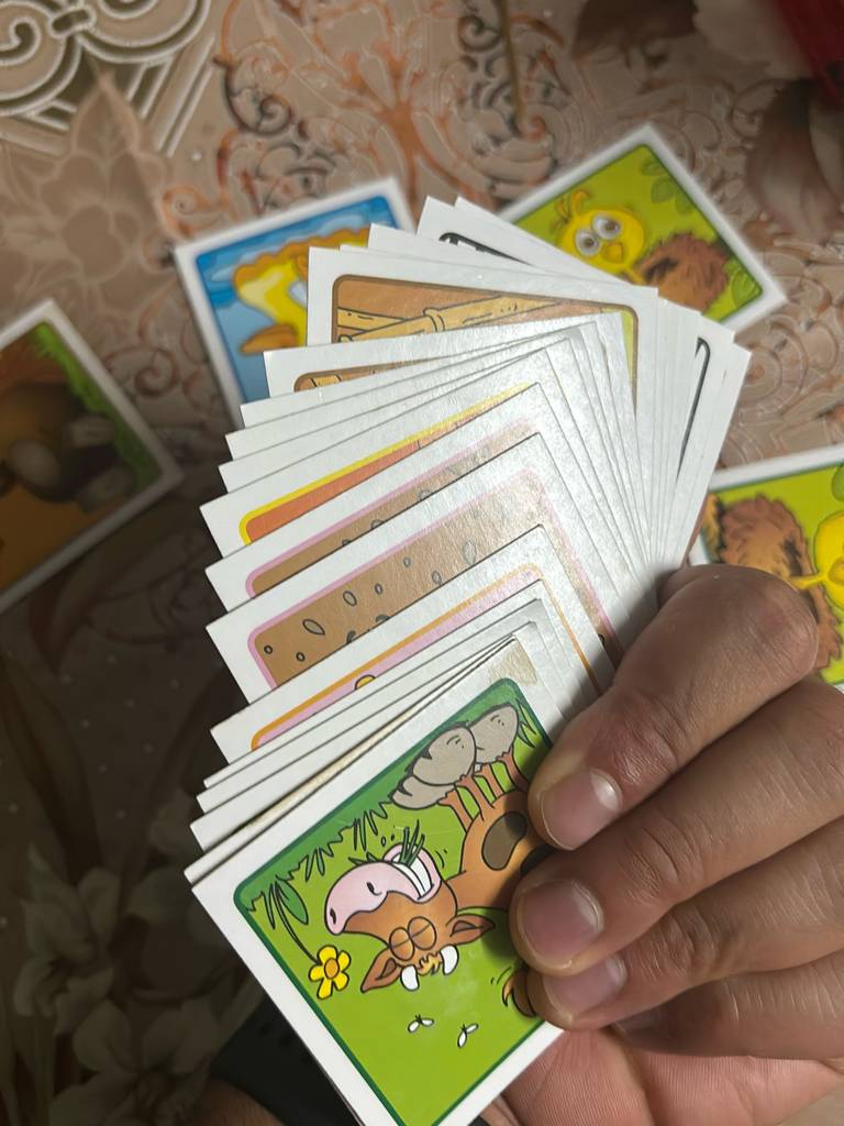 Ein Stapel des getesteten Memory–Spiels wird in der Hand gehalten.