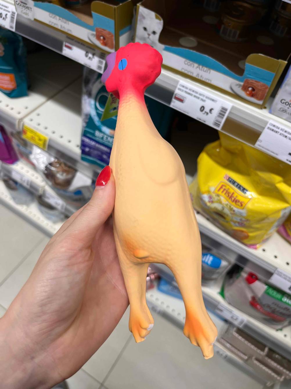 Hundespielzeug getestet: Eine Hand hält ein Gummihuhn hoch, im Hintergrund ein Regal