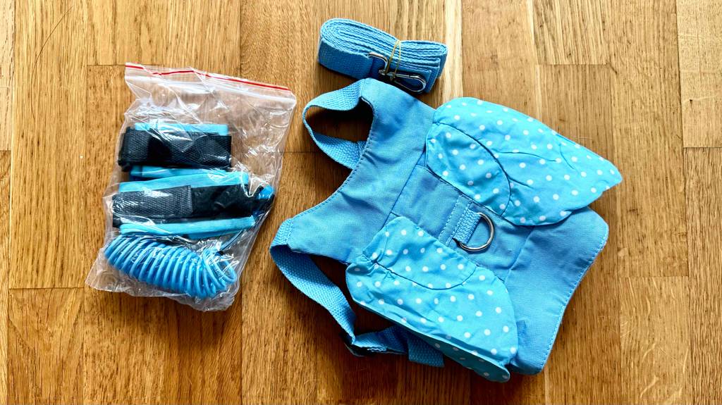 Kinderleine getestet: gesamtes Zubehör einer Kinderleine liegt auf einem Boden.
