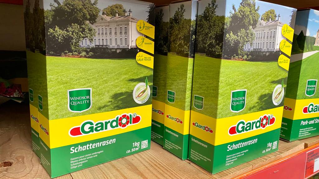 Schattenrasen getestet: Mehrere Packungen stehen in einem Regal.