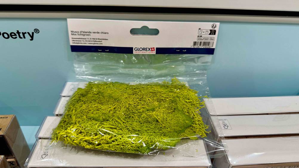 Das getestete Islandmoos liegt auf schmalen Kartons.