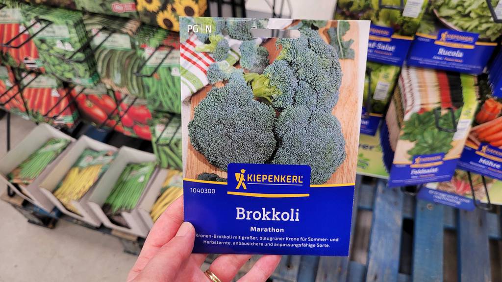 Eine Packung getesteter Brokkoli-Samen wird in der Hand gehalten.