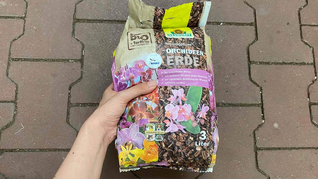 Getestete Orchideenerde wird in der Hand gehalten